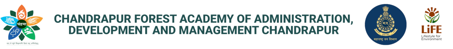 Logo 7